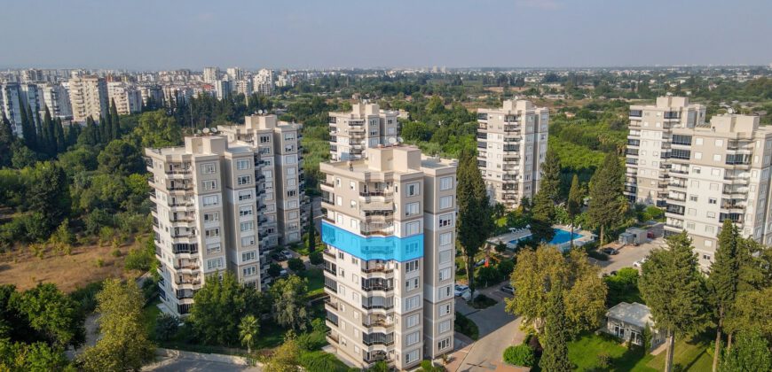 IN THE CENTER OF THE CITY, IN THE GREENERY