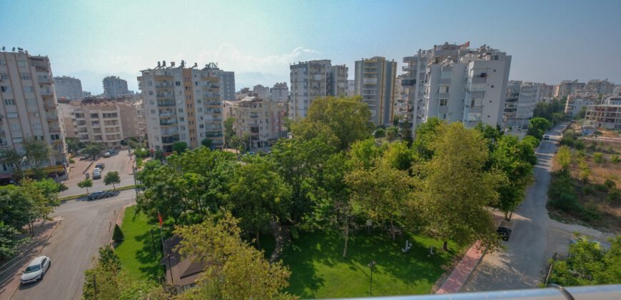 IN THE CENTER OF THE CITY, IN THE GREENERY